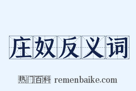 庄奴反义词是什么意思的图片